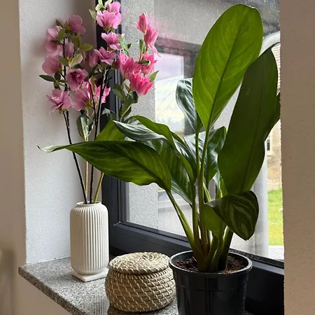 Mams-cottage-brunhilde Neuhausen/Spree