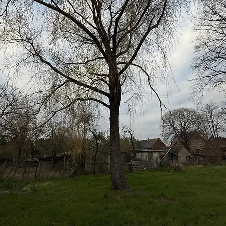 Mams-cottage-brunhilde Neuhausen/Spree