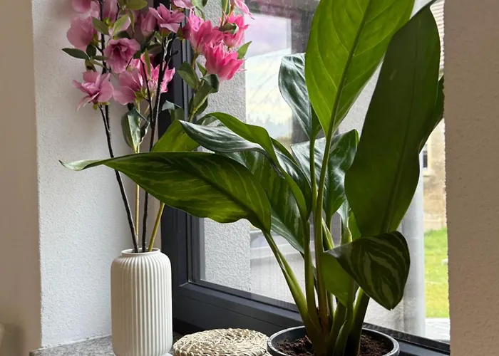 Mams-cottage-brunhilde Neuhausen/Spree