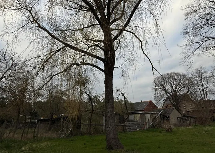 Mams-cottage-brunhilde Neuhausen/Spree